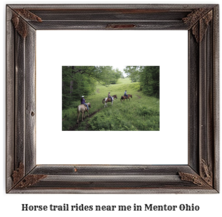 horse trail rides near me in Mentor, Ohio